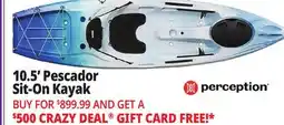 Ocean State Job Lot Perception Pescador 10.5' Sit-On Kayak offer