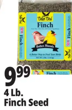 Ocean State Job Lot Better Bird Finch Bird Food 4 lbs offer