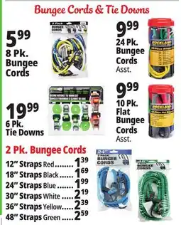 Ocean State Job Lot bungee cords offer