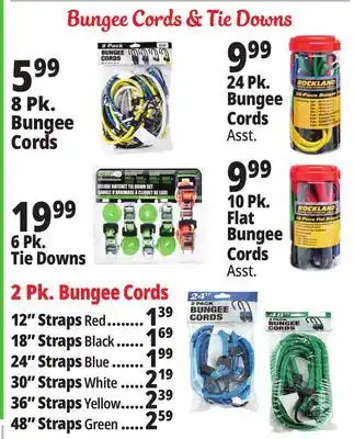 Ocean State Job Lot bungee cords offer