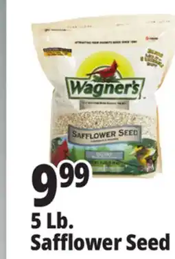 Ocean State Job Lot Wagner's Safflower Seed Deluxe Wild Bird Food offer