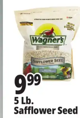Ocean State Job Lot Wagner's Safflower Seed Deluxe Wild Bird Food offer