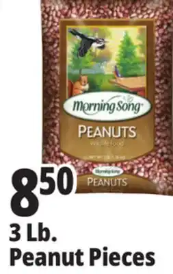 Ocean State Job Lot Morning Song Wildlife Food Peanuts 3 lbs offer