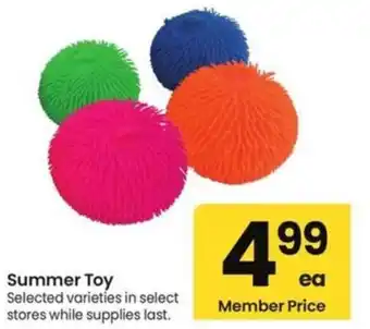 Albertsons Summer Toy offer