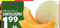 Bravo Supermarkets CANTALOUPES offer