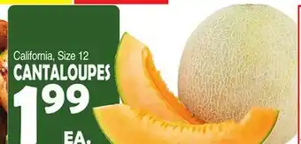 Bravo Supermarkets CANTALOUPES offer