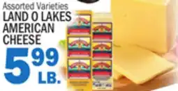 Bravo Supermarkets LAND O LAKES AMERICAN AMERICAN CHEESE offer