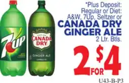 Bravo Supermarkets CANADA DRY GINGER ALE offer