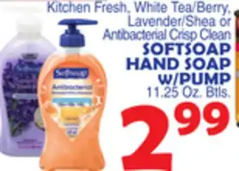 Bravo Supermarkets SOFTSOAP HAND SOAP W/PUMP offer