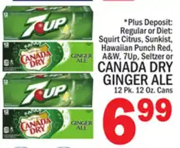 C Town CANADA DRY GINGER ALE offer