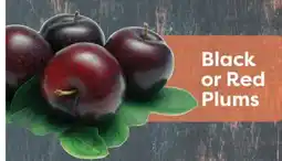 Weis Markets Black or Red Plums offer