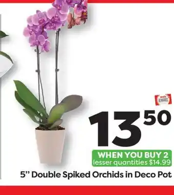 Weis Markets 5 Double Spiked Orchids in Deco Pot offer