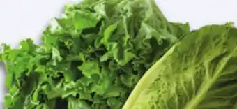 Kings Food Markets ORGANIC LOCAL RED & GREEN LEAF OR ROMAINE LETTUCE offer