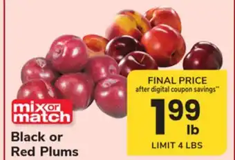 ACME Black or Red Plums offer