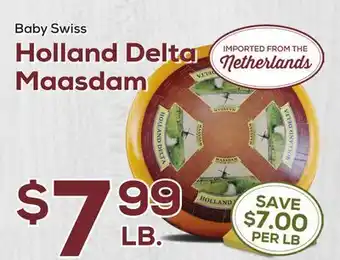 DeCicco & Sons Holland Delta Maasdam offer