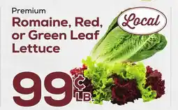 DeCicco & Sons Premium Romaine, Red, or Green Leaf Lettuce offer