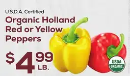 DeCicco & Sons Organic Holland Red or Yellow Peppers offer