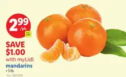 Lidl mandarins offer