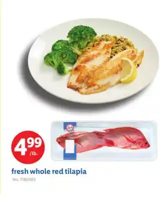 Lidl fresh whole red tilapia offer