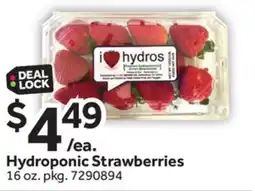 Stop&Shop Hydroponic Strawberries offer