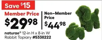 Lowe's Naturae 12-in H x 8-in W Rabbit Topiary offer