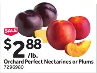 Stop&Shop Orchard Perfect Nectarines or Plums offer