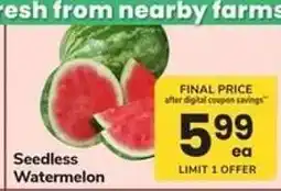 Safeway Seedless Watermelon offer