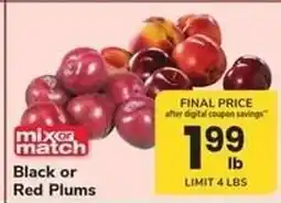 Safeway Black or Red Plums offer