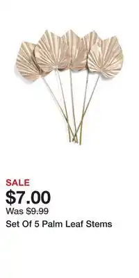TJ Maxx Set Of 5 Palm Leaf Stems offer