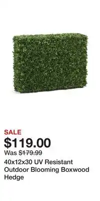 TJ Maxx 40x12x30 UV Resistant Outdoor Blooming Boxwood Hedge offer