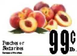 Baja Ranch Peaches or Rectarines offer