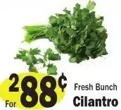 Sellers Bros Fresh Bunch Cilantro offer