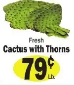 Sellers Bros Fresh Cactus with Thorns offer