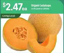 Raley's Origami Cantaloupe offer