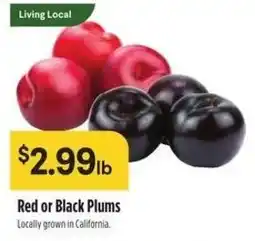 Raley's Red or Black Plums offer