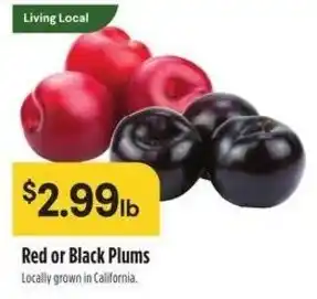 Raley's Red or Black Plums offer