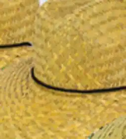 Big 5 Goldcoast Sunwear Lever Straw Lifeguard Hat offer