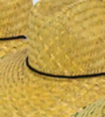 Big 5 Goldcoast Sunwear Lever Straw Lifeguard Hat offer