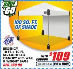 Big 5 E-Z UP Regency 10' x 10' Straight Leg Canopy with Side Wall and 4 Weight Bags offer