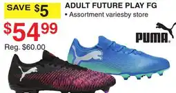 Dunham's Sports PUMA ADULT FUTURE PLAY FG offer