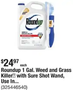 The Home Depot Roundup 1 Gal. Weed and Grass Killer with Sure Shot Wand offer
