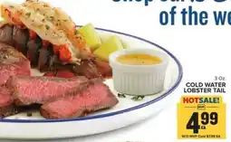Food Lion Cold water lobster tail offer