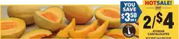 Food Lion Athena cantaloupes offer