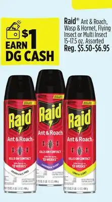 Dollar General Raid Ant & Roach, Wasp & Hornet, Flying Insect or Multi Insect offer