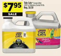 Dollar General Tidy Cats Scoop Litter 4 IN 1 or Bahama Sunset 10 lb offer