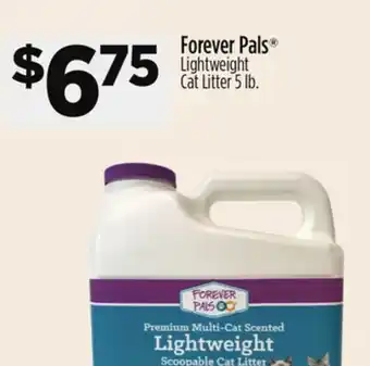 Dollar General Forever Pals Lightweight Cat Litter offer