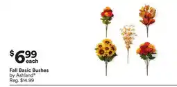 Michaels Fall Basic Bushes by Ashland offer