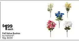 Michaels Fall Value Bushes by Ashland offer