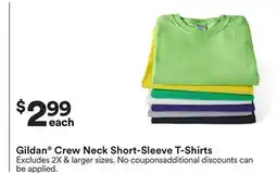 Michaels Gildan Crew Neck Short-Sleeve T-Shirts offer