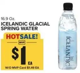 Food Lion Icelandic glacial spring water offer